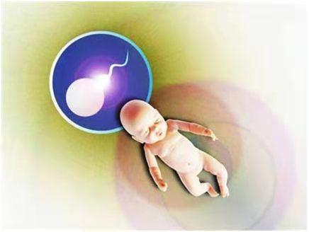 陈医生